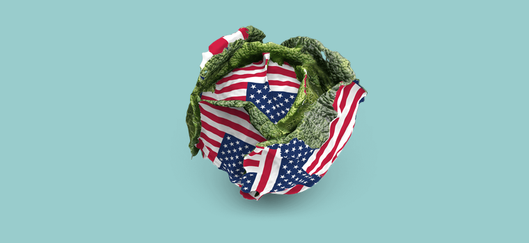 Как поехать рожать в США