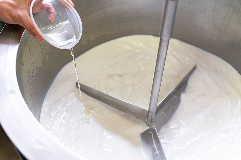 Вливаем фермент в молоко и вытаскиваем винт, чтобы он не мешал потом нарезать получившееся сырное зерно. Фото: Виктор Юльев