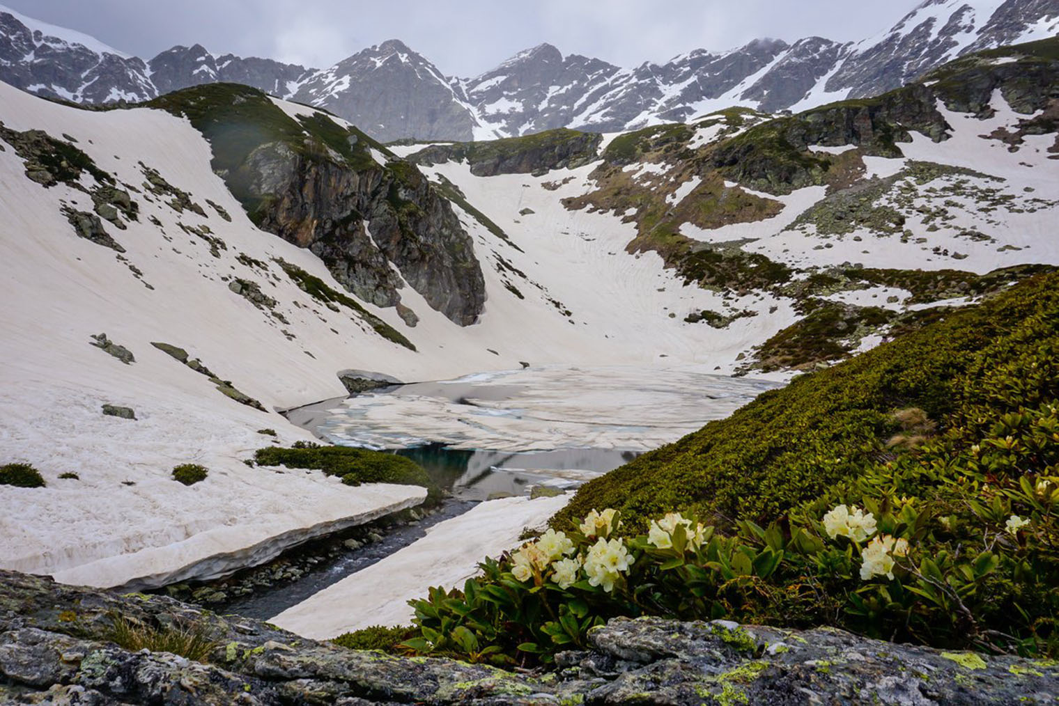 Дуккинские озера. В начале лета на высокогорье еще лежит снег, но уже цветут рододендроны. Источник: resort-arkhyz.ru