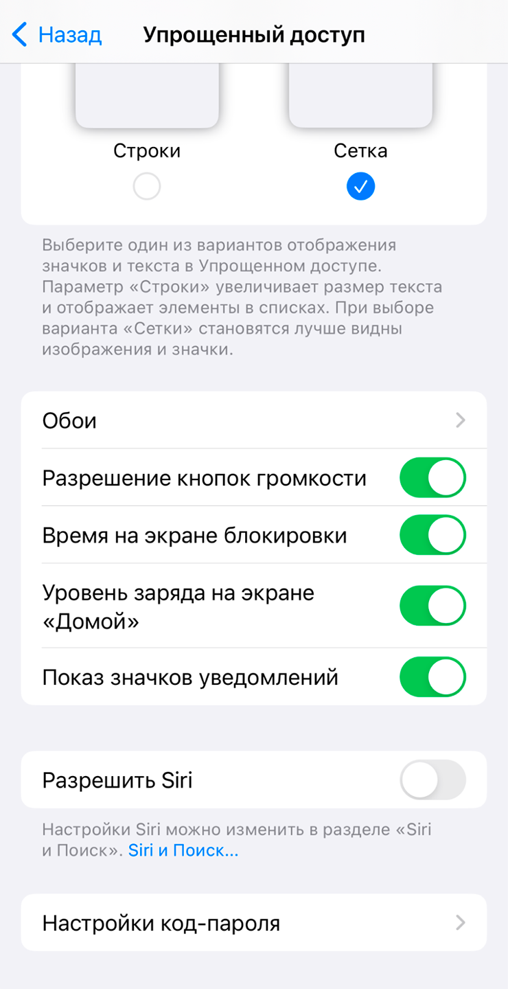 Айфон для пожилых людей: как настроить режим упрощенного доступа в iOS 17