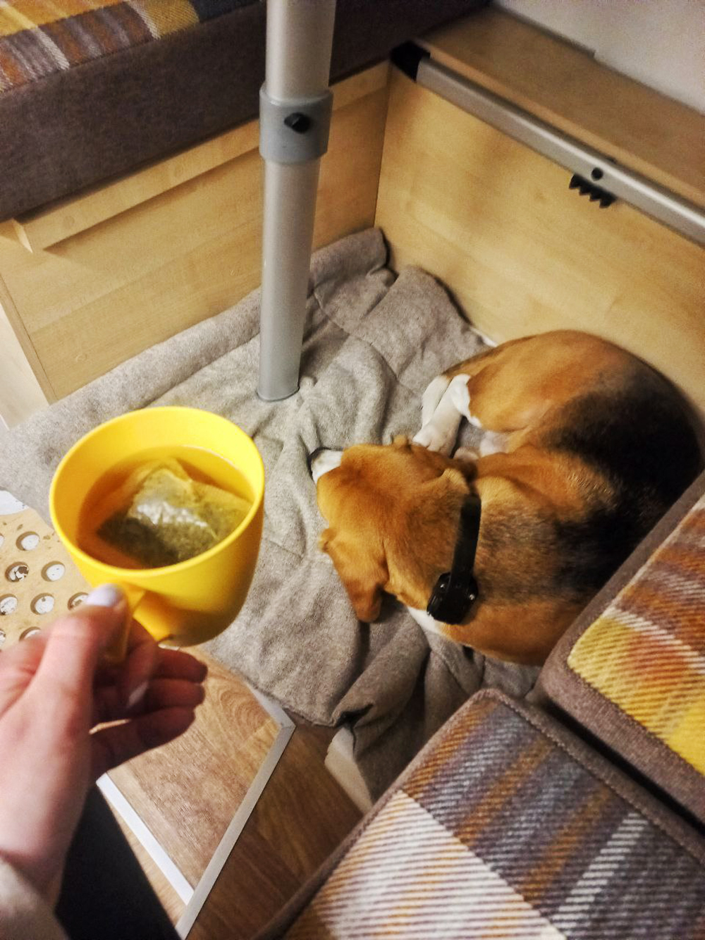 Под столом нашлось место и для нашего верного спутника в путешествиях — пса Мувикса. Мы смастерили ему небольшую деревянную лежанку с одеялом