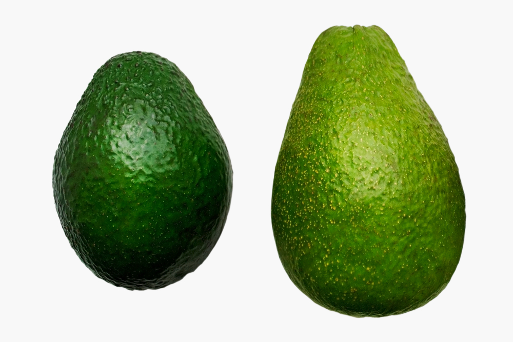 Два самых распространенных сорта авокадо: Хасс слева, Фуэрте справа. Источник: Lina Ptashka / Shutterstock