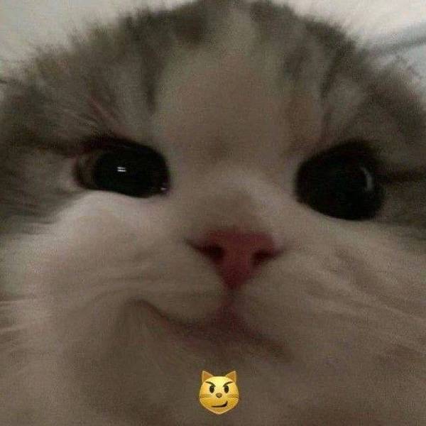 Niopioni 