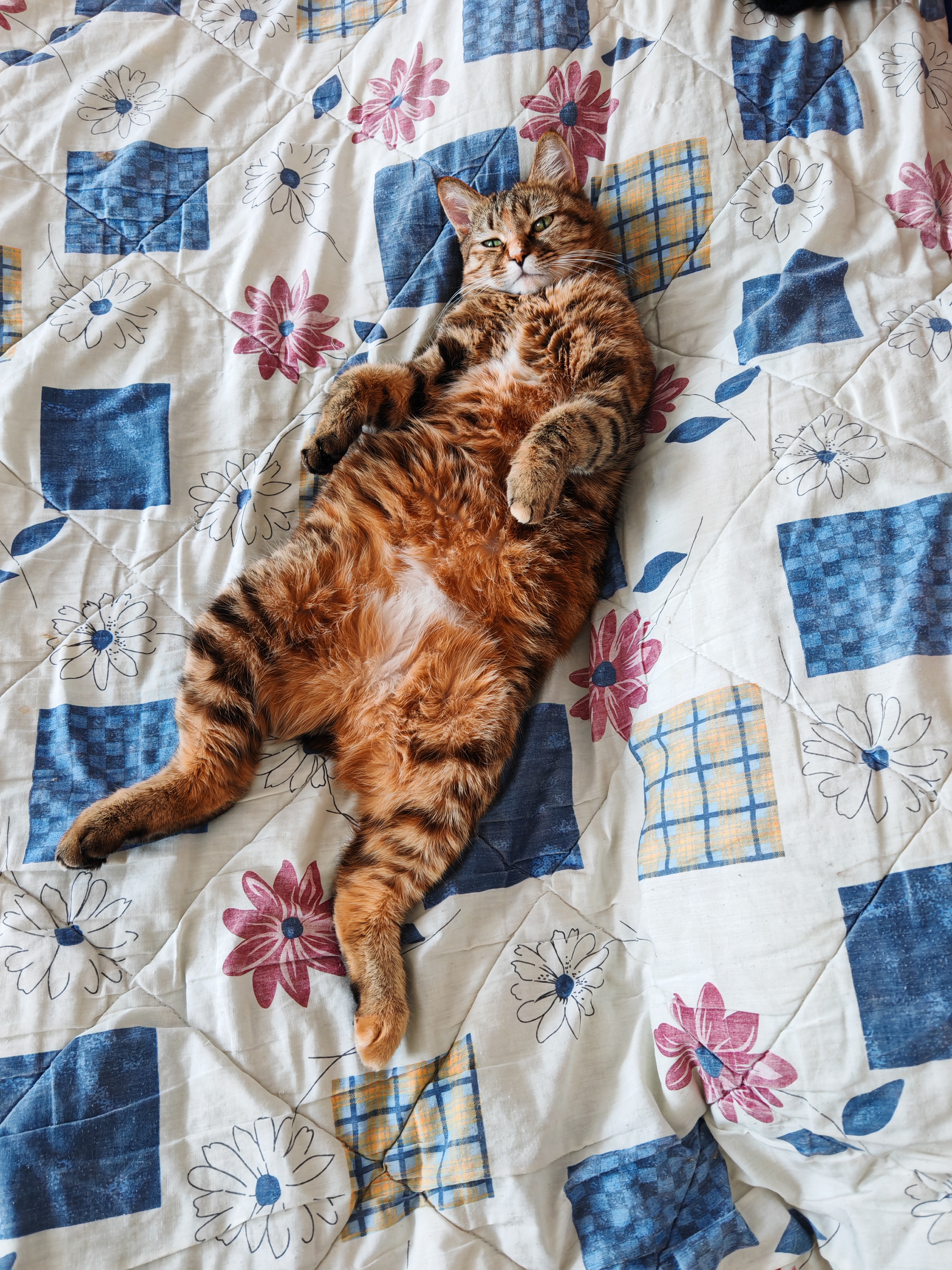 Спят где хотят и как хотят!