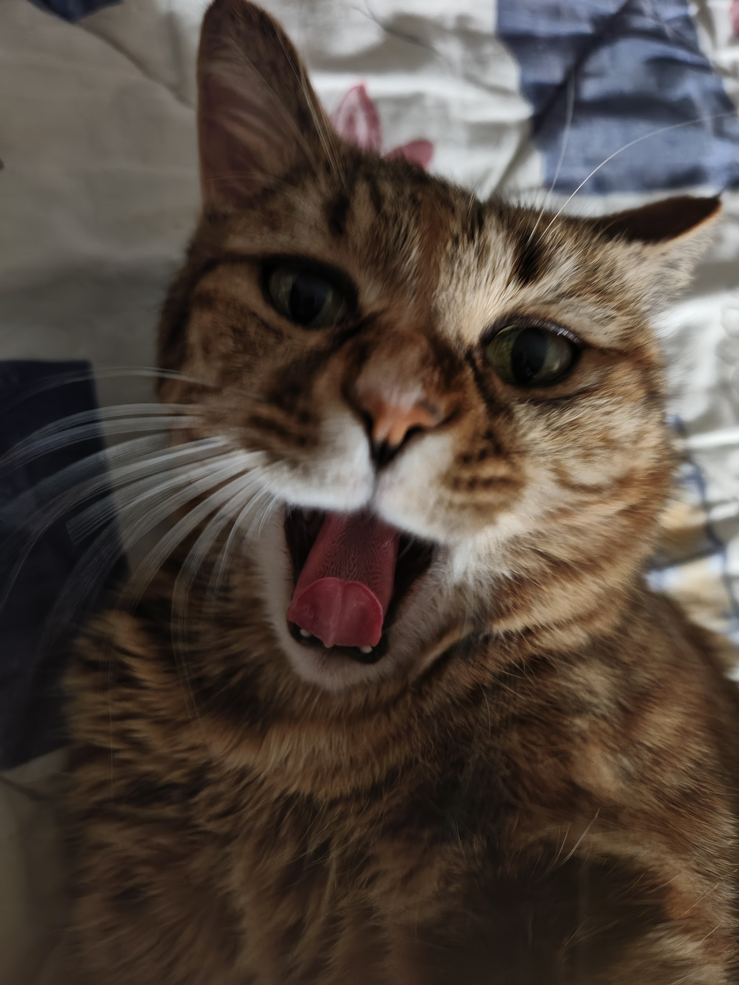 Спят где хотят и как хотят!