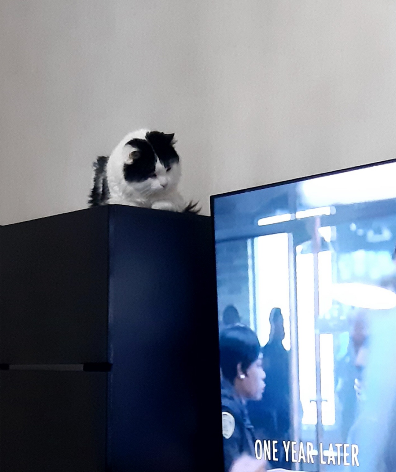 Так-то лучше…