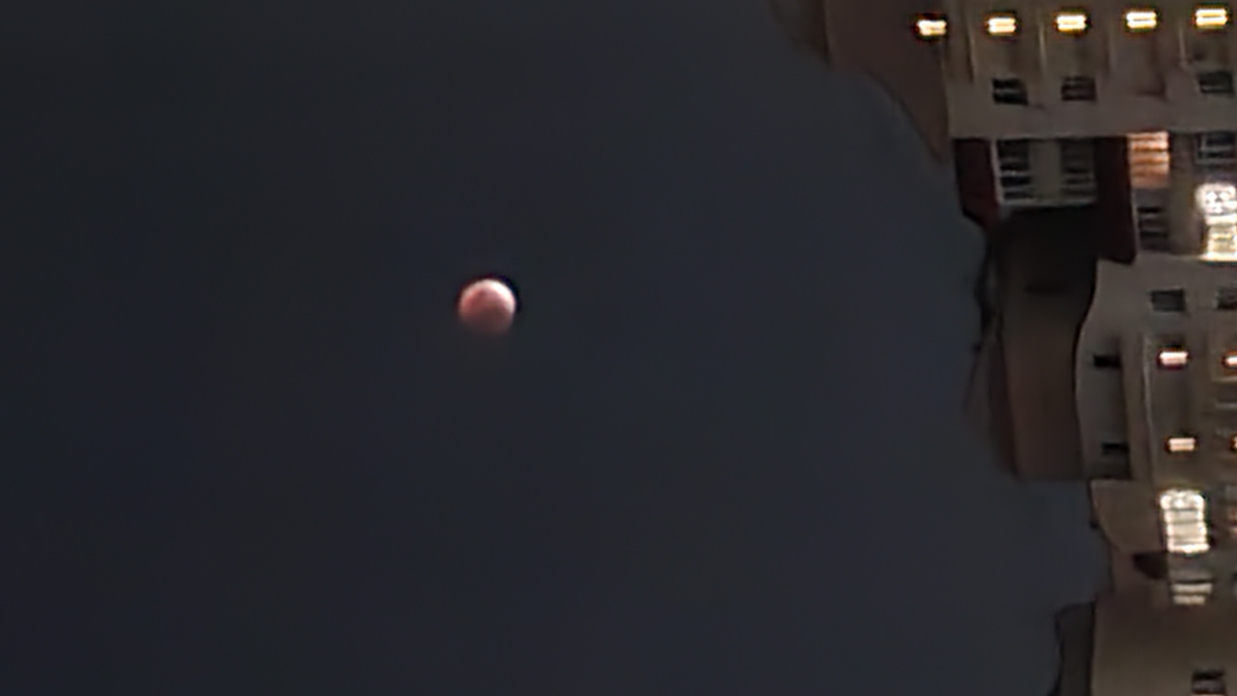 Фотографии года