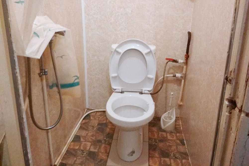Душ в туалете, как в недорогих отелях южного Китая и Гонконга. Еще в Питере часто встречается душ на кухне, но мне такой вариант не нравится