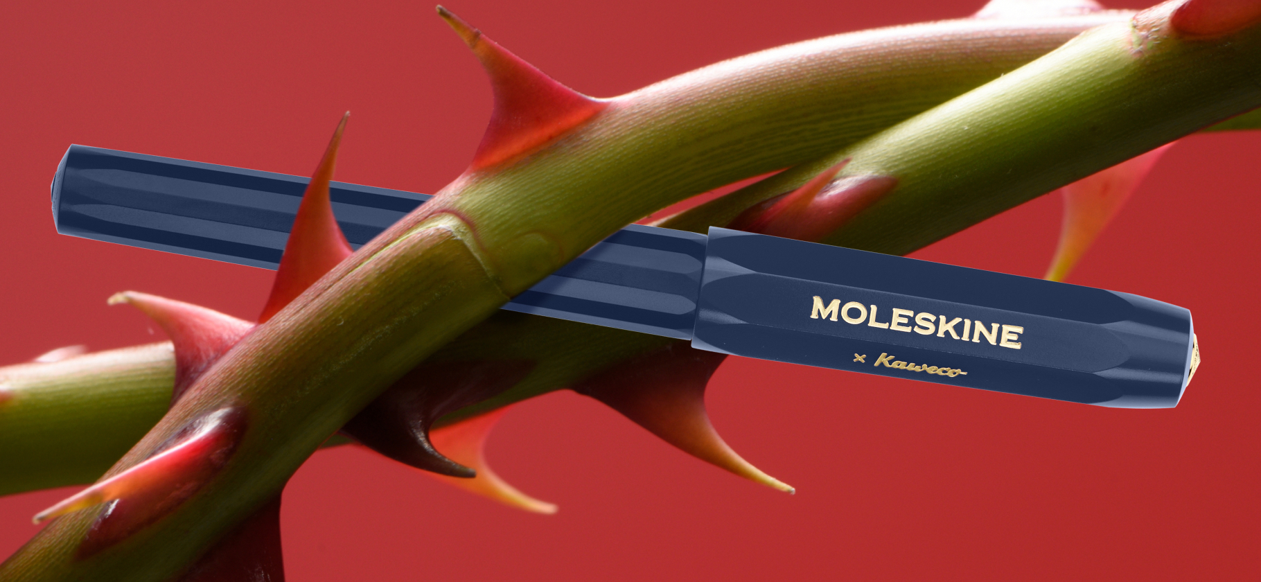 15 магазинов с красивыми канцтоварами на все случаи жизни