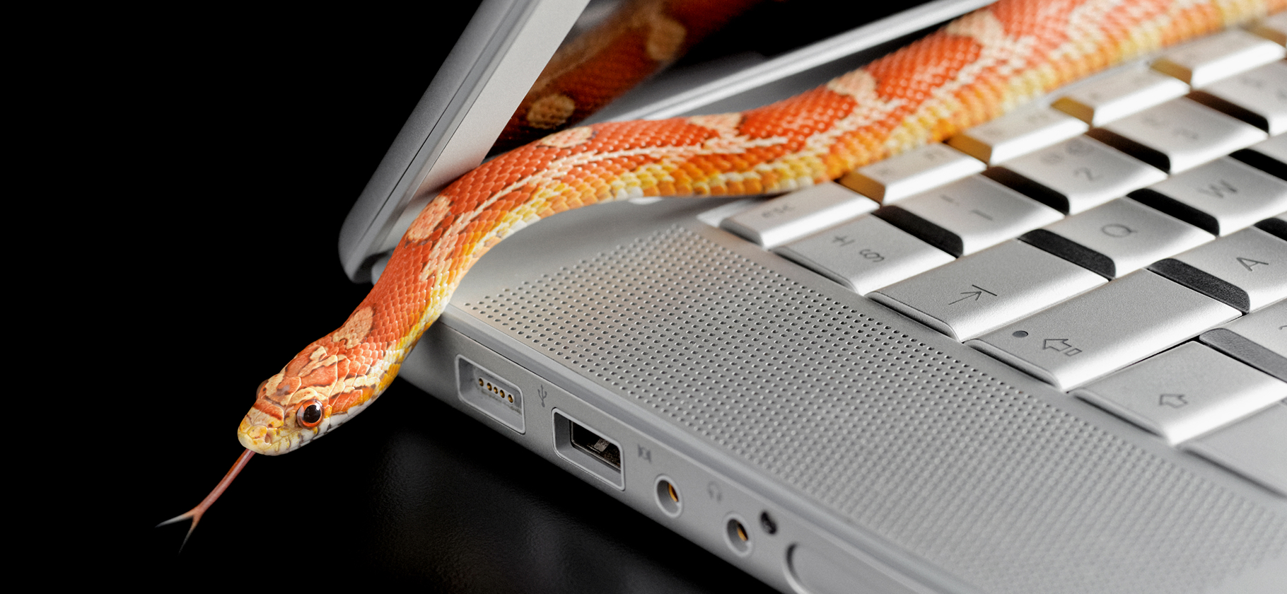 «Тонны негатива со всех сторон»: что бесит в совре­мен­ном интернете