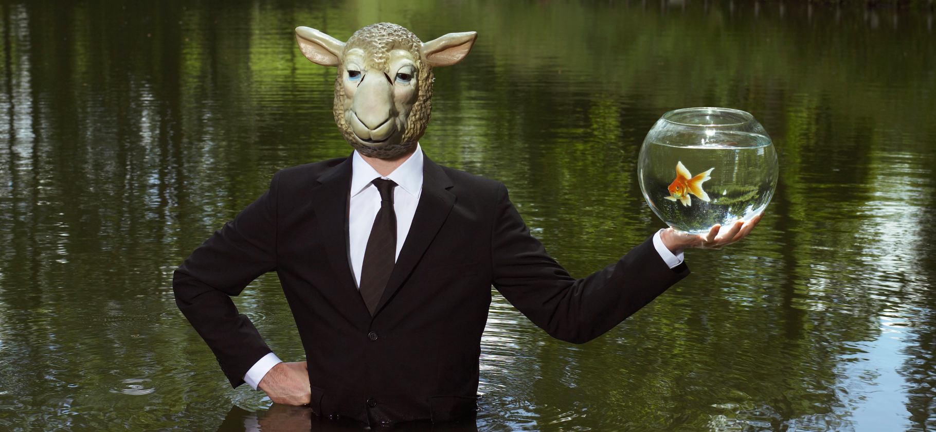 «Клянчила обратно свои же​ деньги»: 5 ситуаций, когда бизнес не оправдал ожидания клиентов