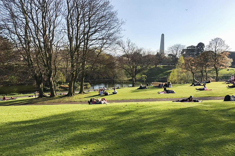 Феникс-парк в Дублине. Ирландцы стремятся взять все от редких теплых солнечных дней