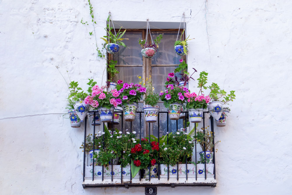 Так выглядит французский балкон — его можно использовать только для цветов. Фото: Emilio Sáez Soro / Unsplash