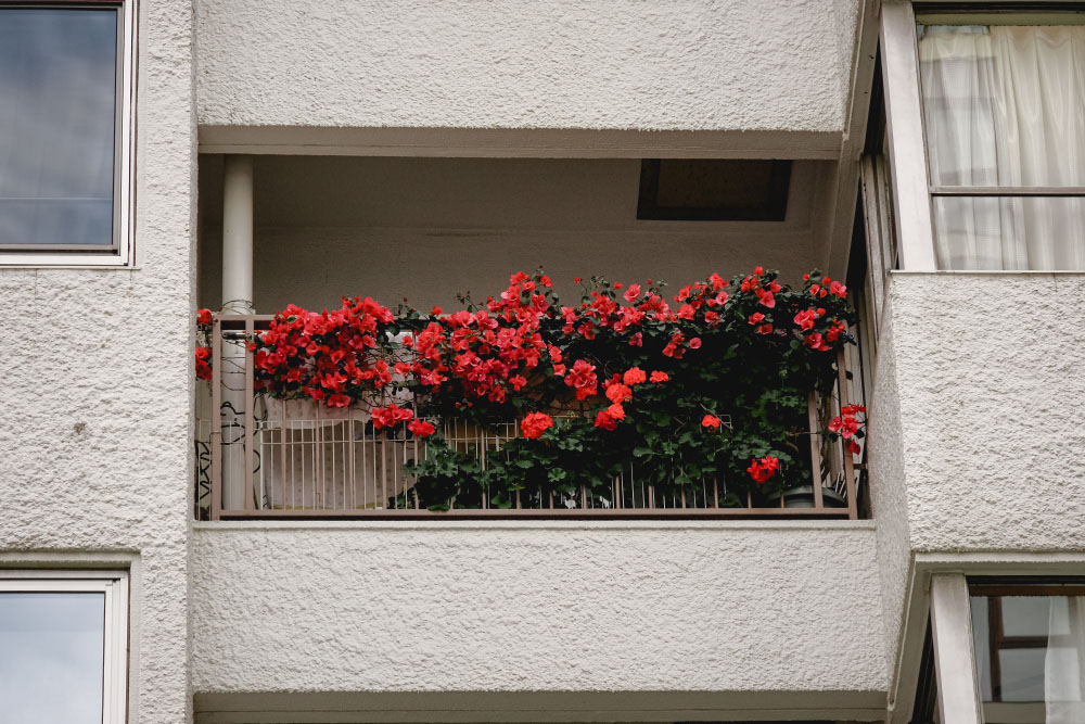 Даже одно растение может полностью преобразить открытый балкон и превратить его в приятное место для отдыха. Фото: Hu Jiarui / Unsplash