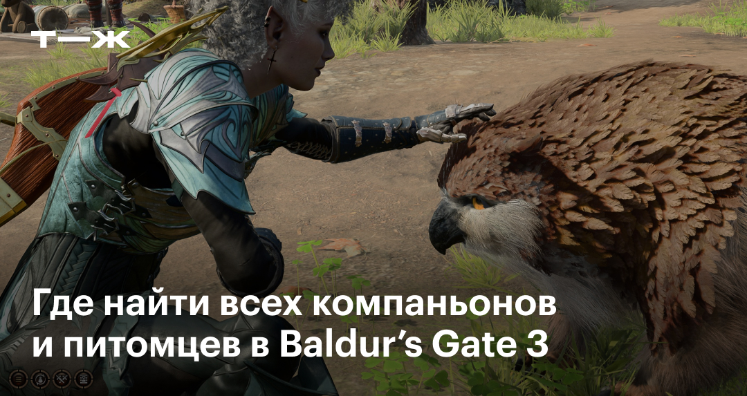   Baldur39s Gate 3     