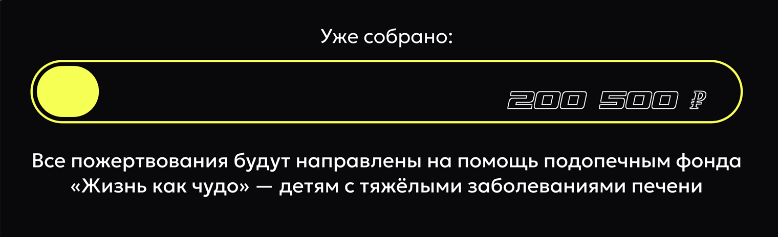 На момент выхода статьи, 5 июля, собрали уже 200 500 ₽. Источник: estafeta.ru