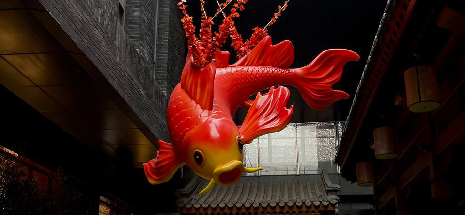 Я учусь в Пекинском технологическом институте: пятый день в Китае