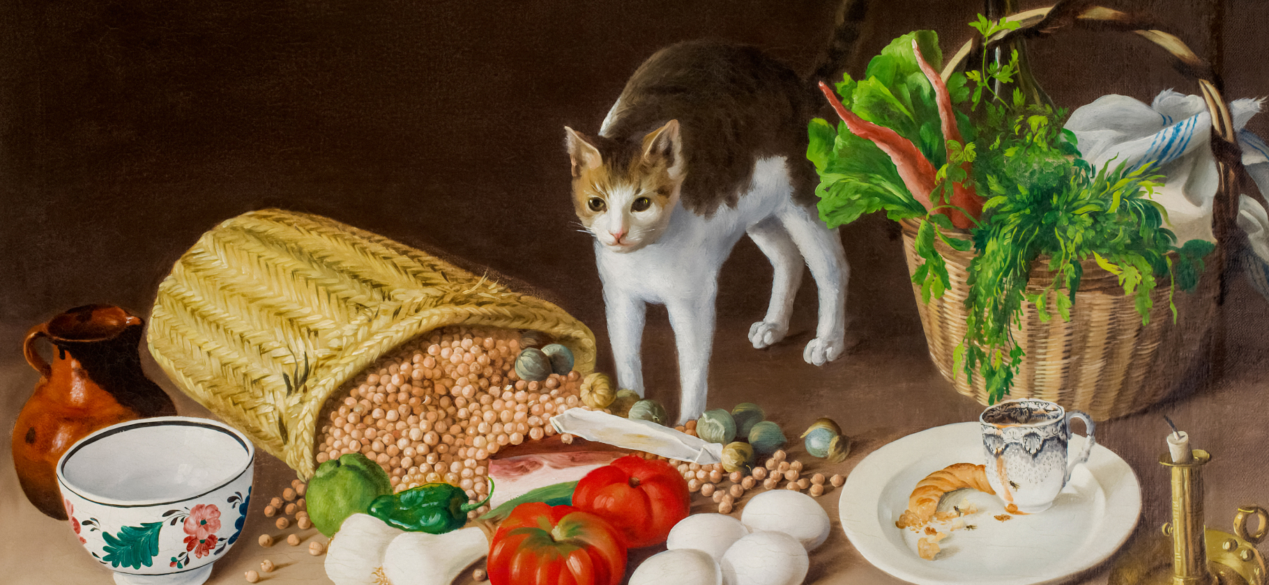 Какой корм для кошек вы счита­ете лучшим и почему?