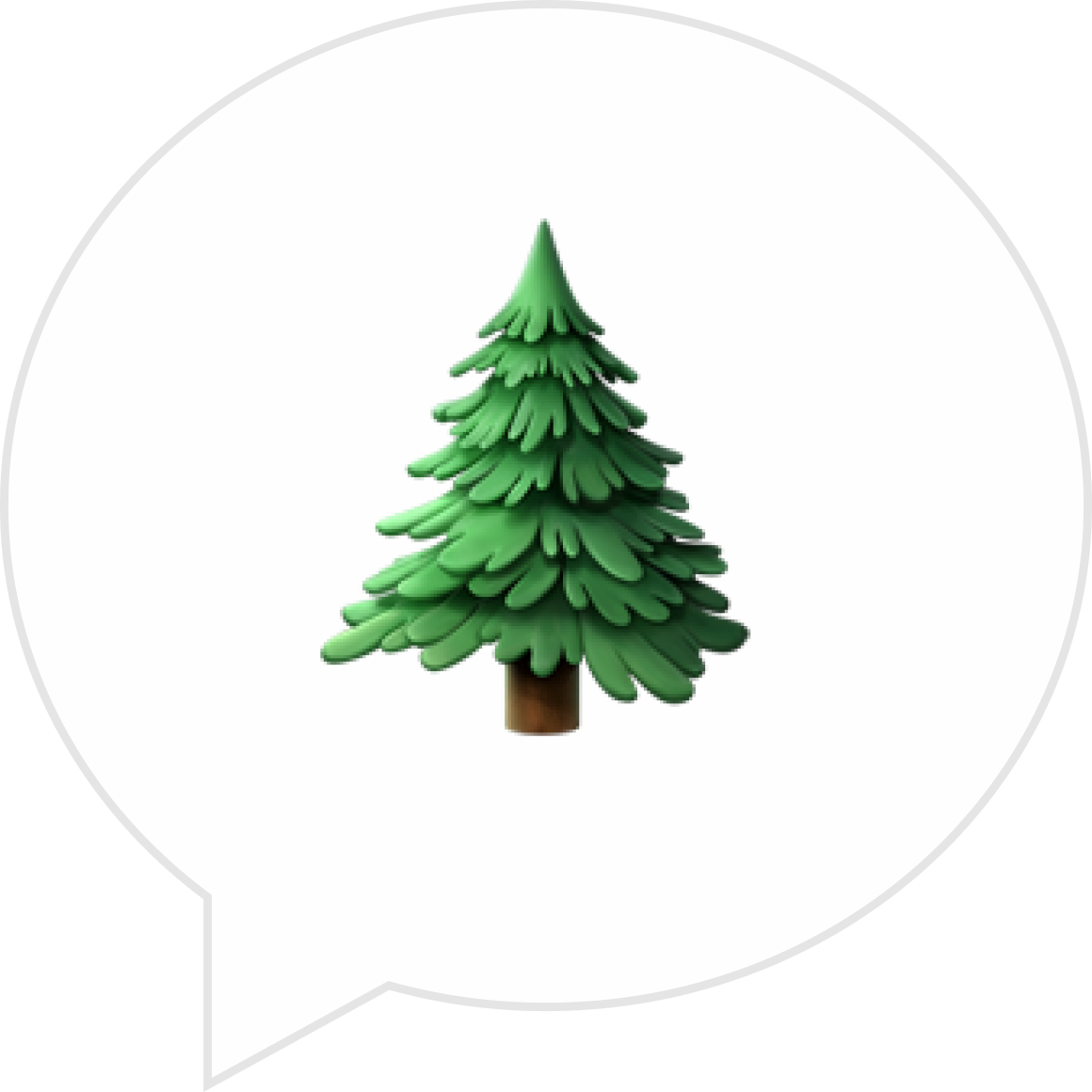 Какую елку лучше выбрать на Новый год?