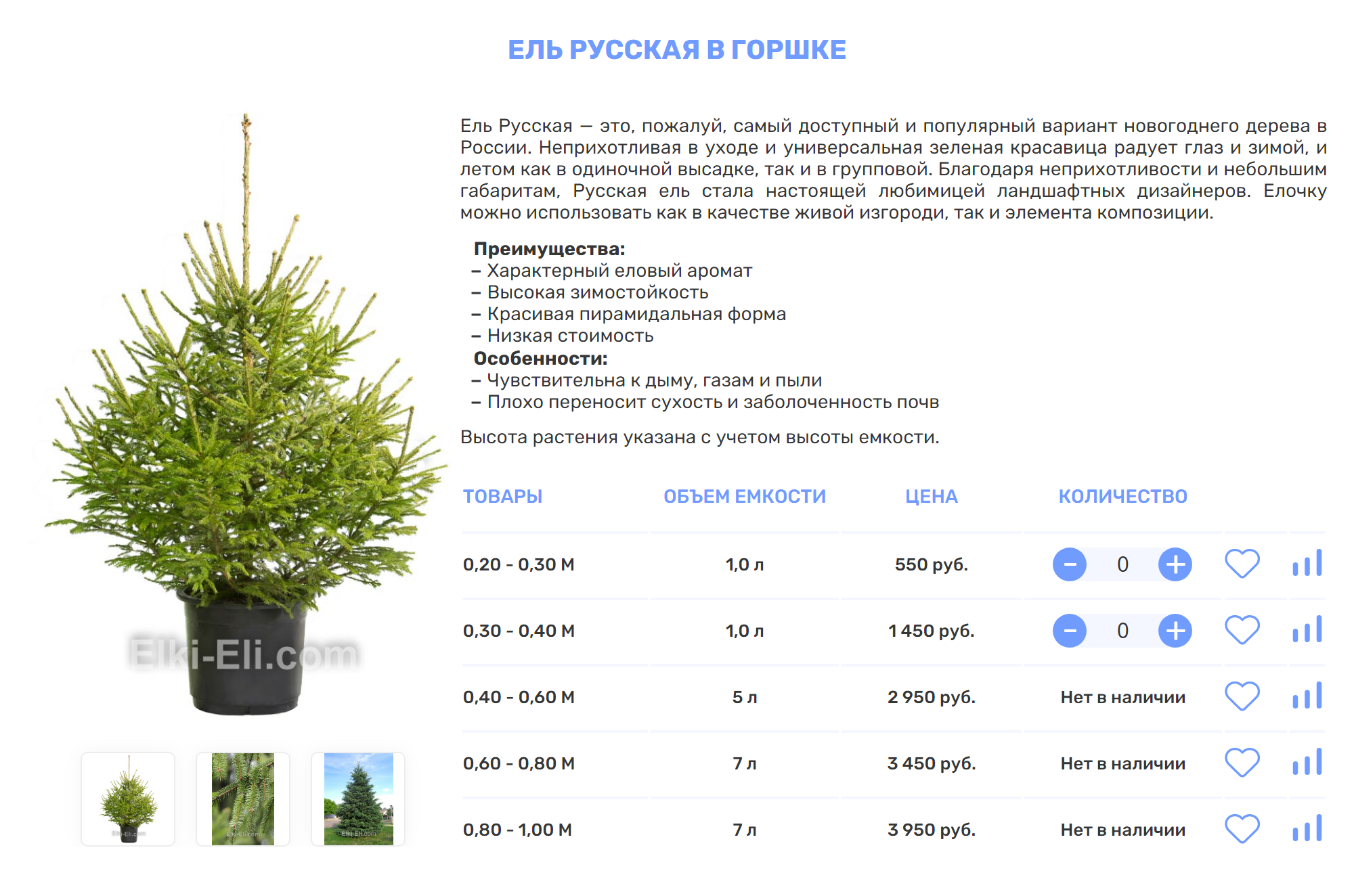 Можжевельник в горшке можно найти по сниженной цене. Источник: luxuryplants.ru