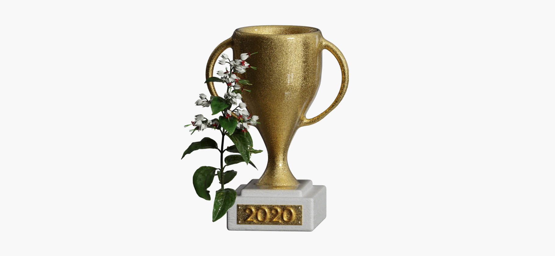 Раздаем кубки: лучшие истории, которые нам рассказали читатели в 2020 году