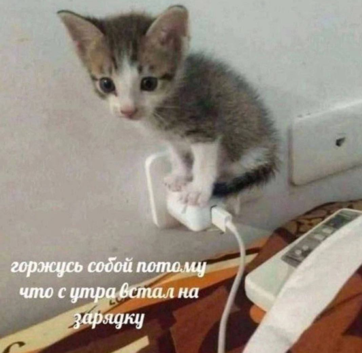 Так держать!