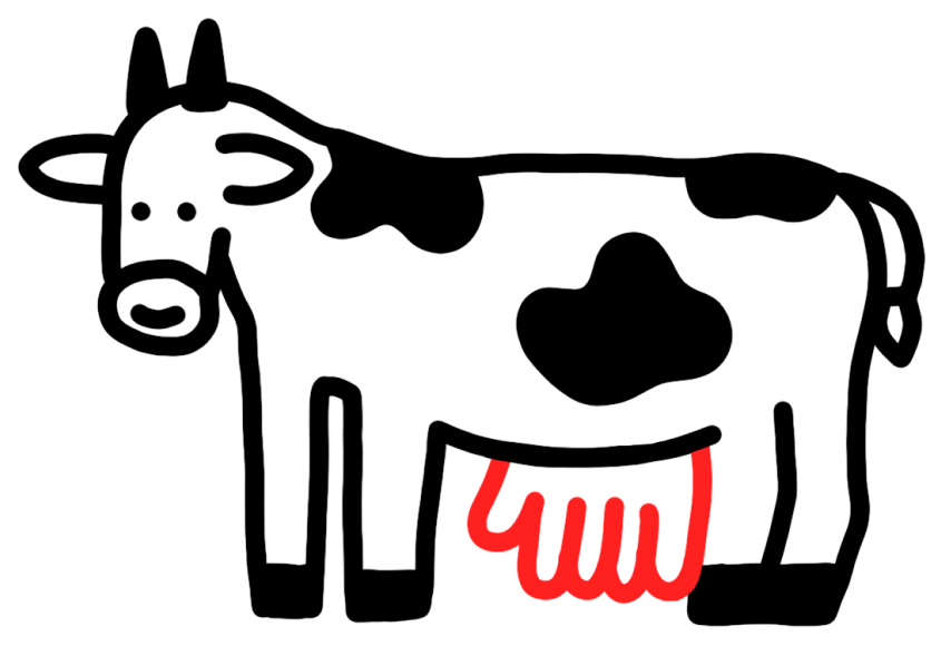 Бесит, когда безлак­тозные продукты раскупают люди без непереносимости