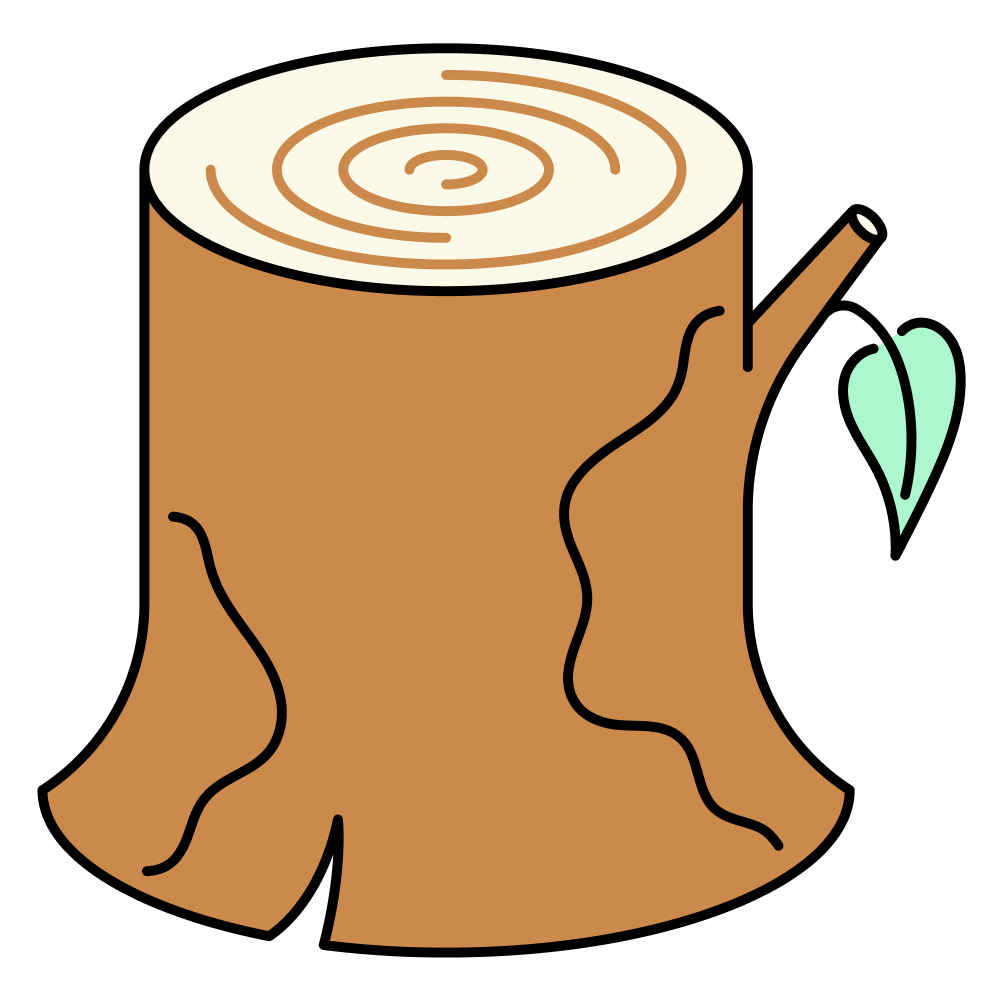 Правда ли, что можно рассчитать биологический возраст? И как это сделать — несколько простых способов