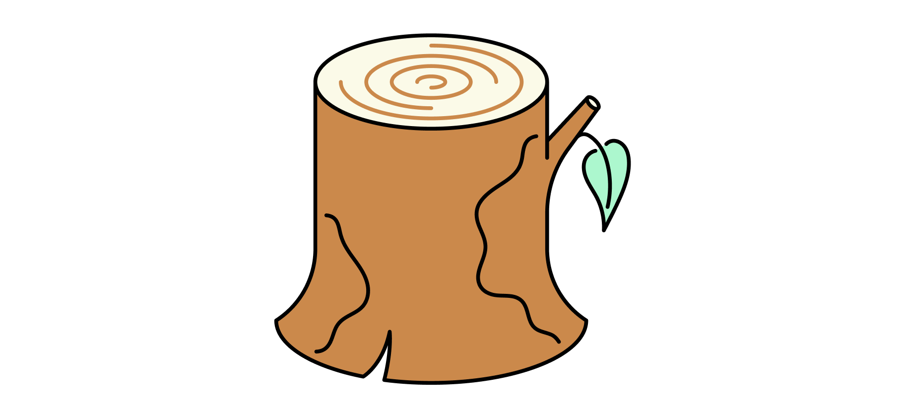 Правда ли, что можно рассчитать биологический возраст? И как это сделать — несколько простых способов