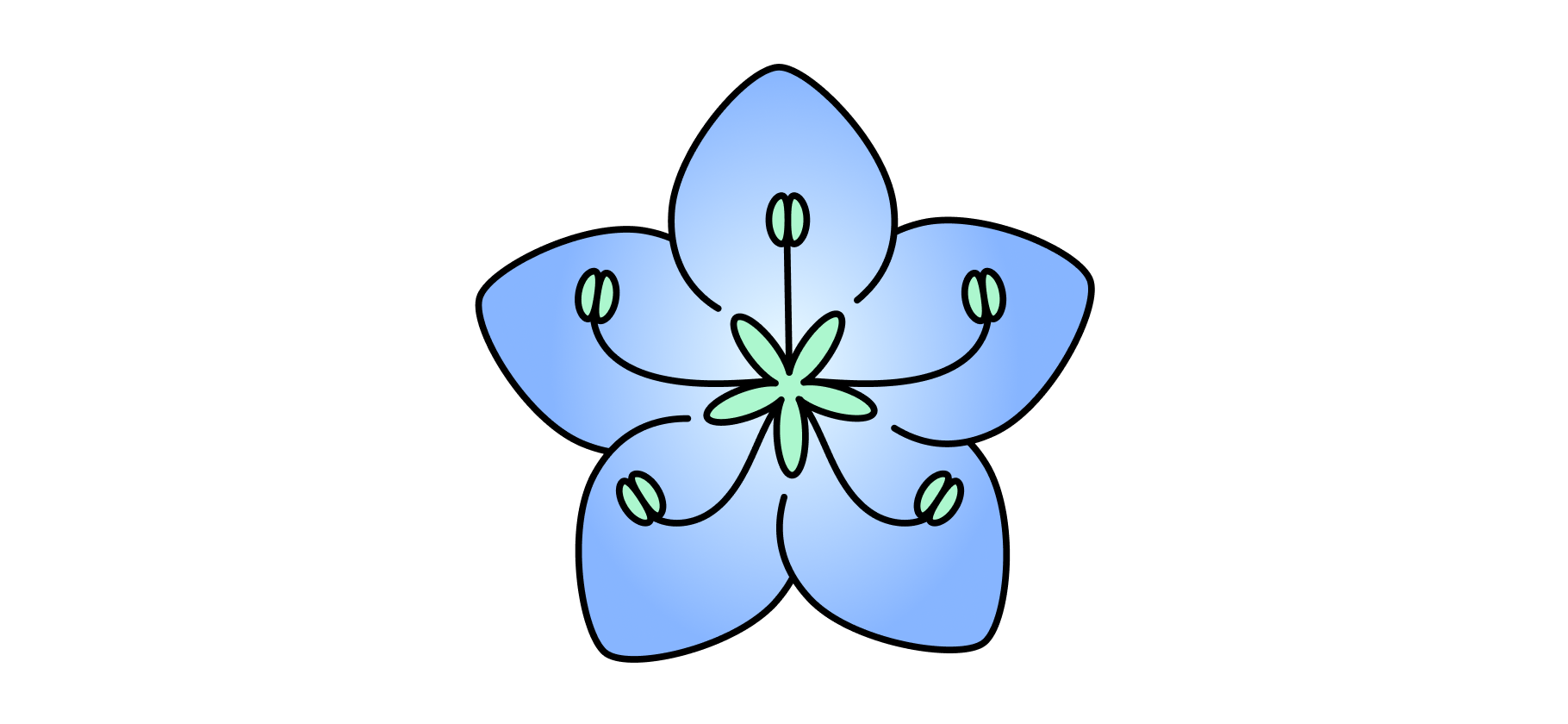 Правда ли, что масло черного тмина очень полезно для здо­ровья?