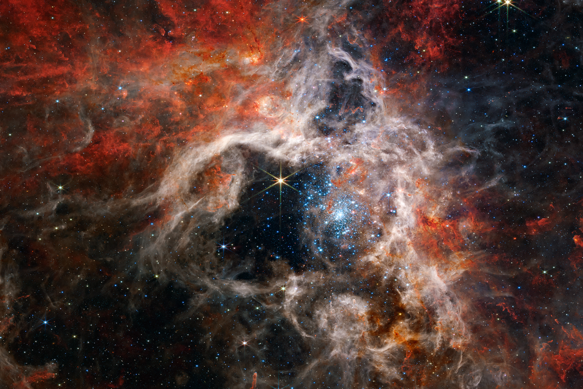 Благодаря телескопу Джеймс Уэбб ученым впервые удалось получить детальное изображение туманности Тарантул. На нем видно большое количество звезд, находящихся на ранних этапах развития. Фотография — NASA