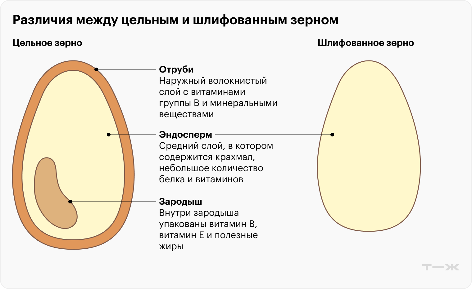 Из цельного зерна получается крупа-ядрица. Шлифованное зерно дробят и превращают в крупу-сечку