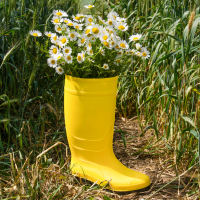 Обложка статьи