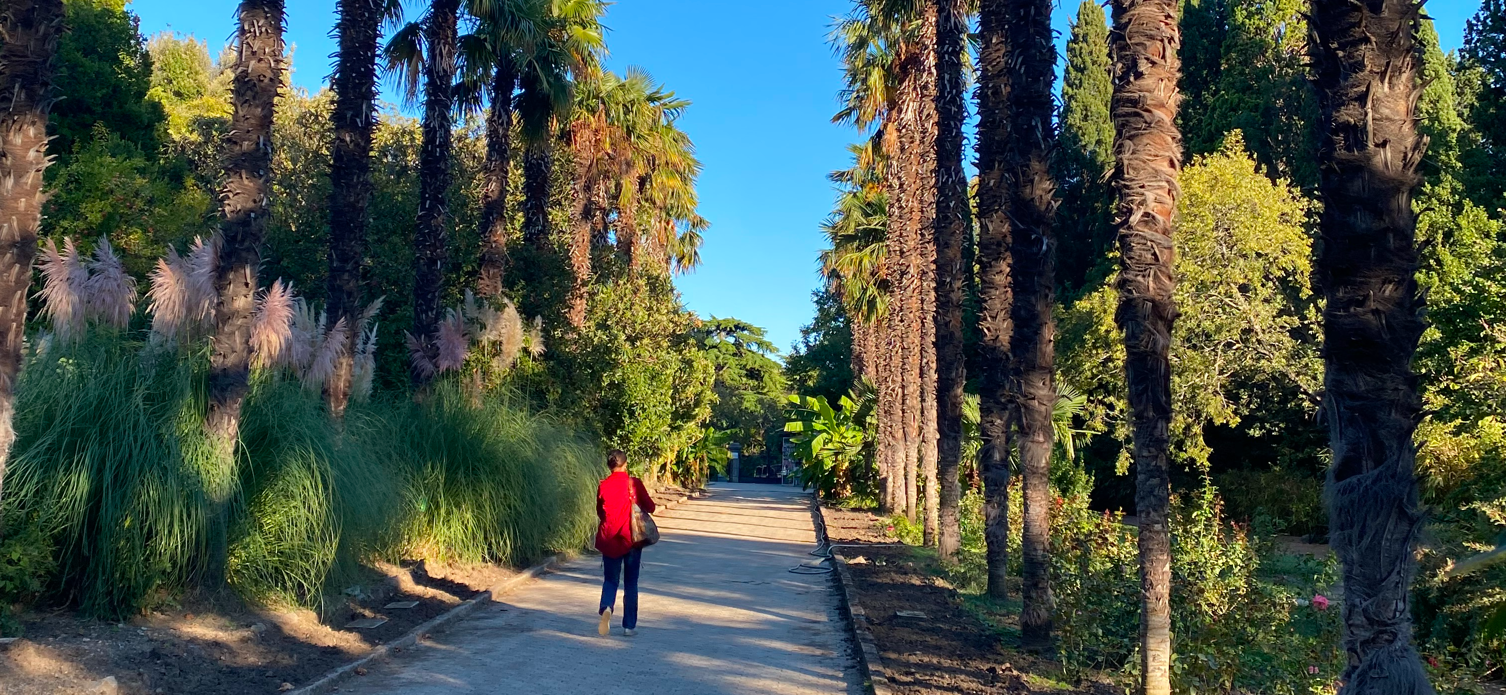 «Купались каждый день»: как мы отдохнули в Крыму осенью 2025 года