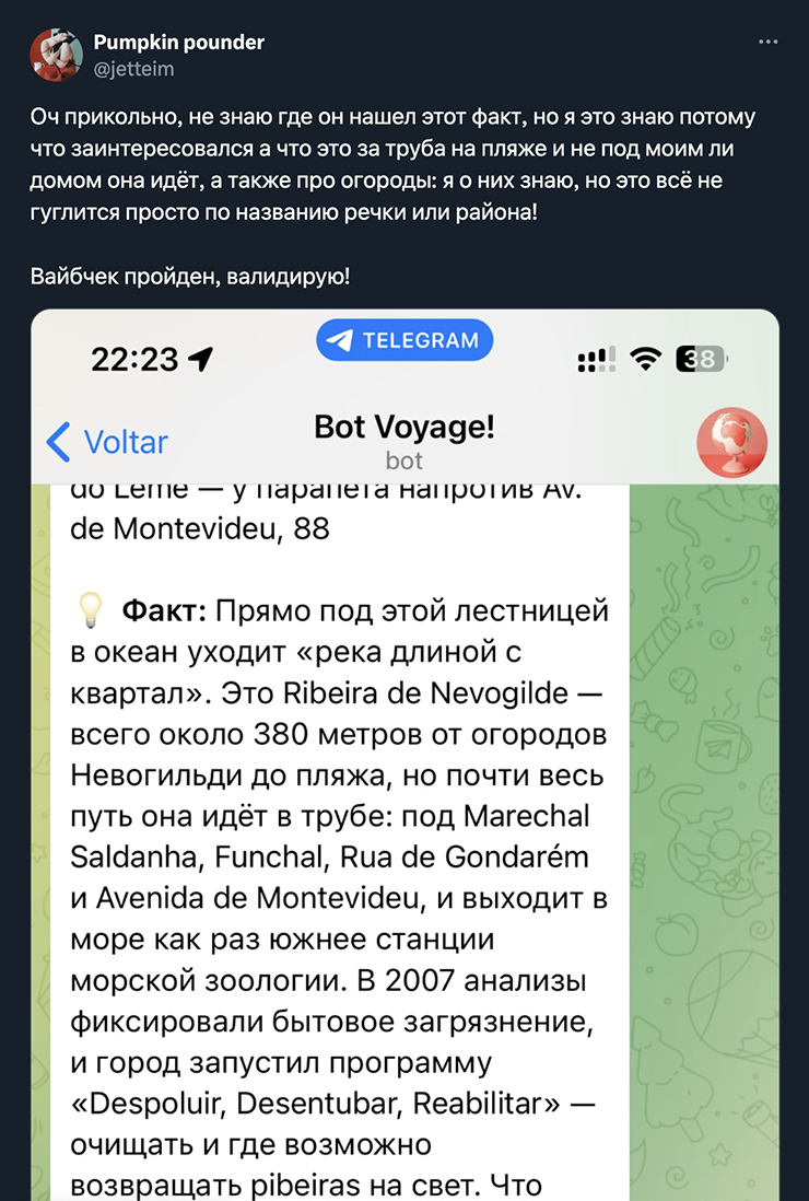 Один из отзывов о боте из «Твиттера»
