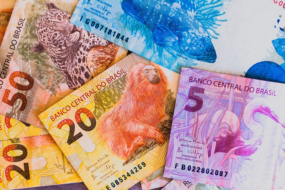 На деньгах в Бразилии нарисованы местные животные, которые находятся под угрозой исчезновения. Чем выше номинальная стоимость, тем больше банкнота по размеру. В этом плане бразильские деньги похожи на евро и фунты стерлингов. Источник: rafapress / Shutterstock