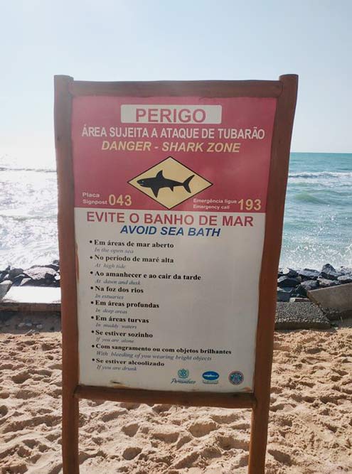 Предупреждающая табличка на пляже Боа-Виажем содержит целый свод правил. Например, там не рекомендовано купаться во время приливов, плавать в одиночку, с кровотечением или в одежде ярких цветов. Иначе есть риск привлечь акул