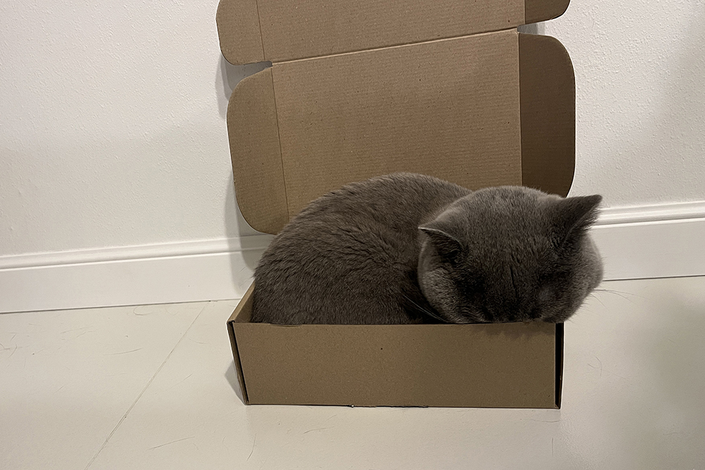 Федор любит коробки
