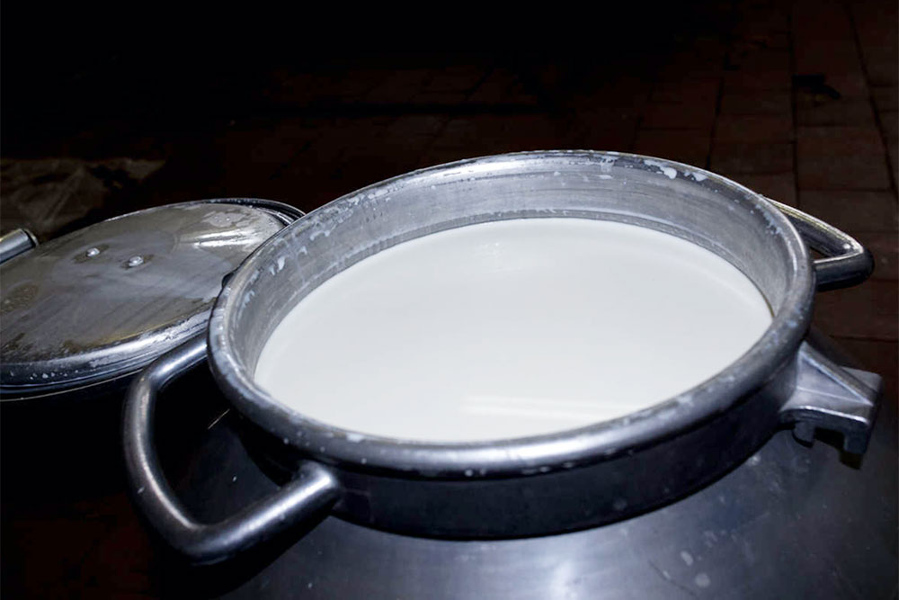 Так привозили молоко на производство на старте — бидонами. Сейчас привозят молоковозами объемами в несколько тонн