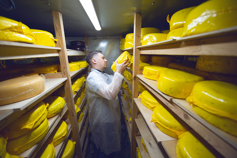 В хранилище сыр вызревает и ждет отправки покупателям. Объема помещения хватает примерно на 10 тонн сыра