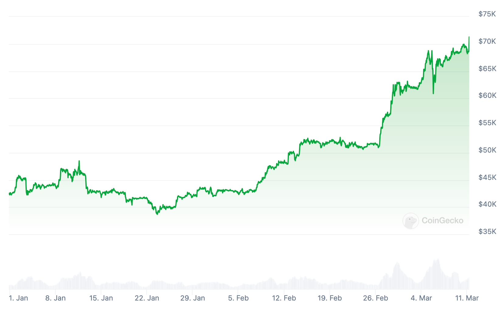 График курса биткоина с начала 2024 года. Источник: coingecko.com