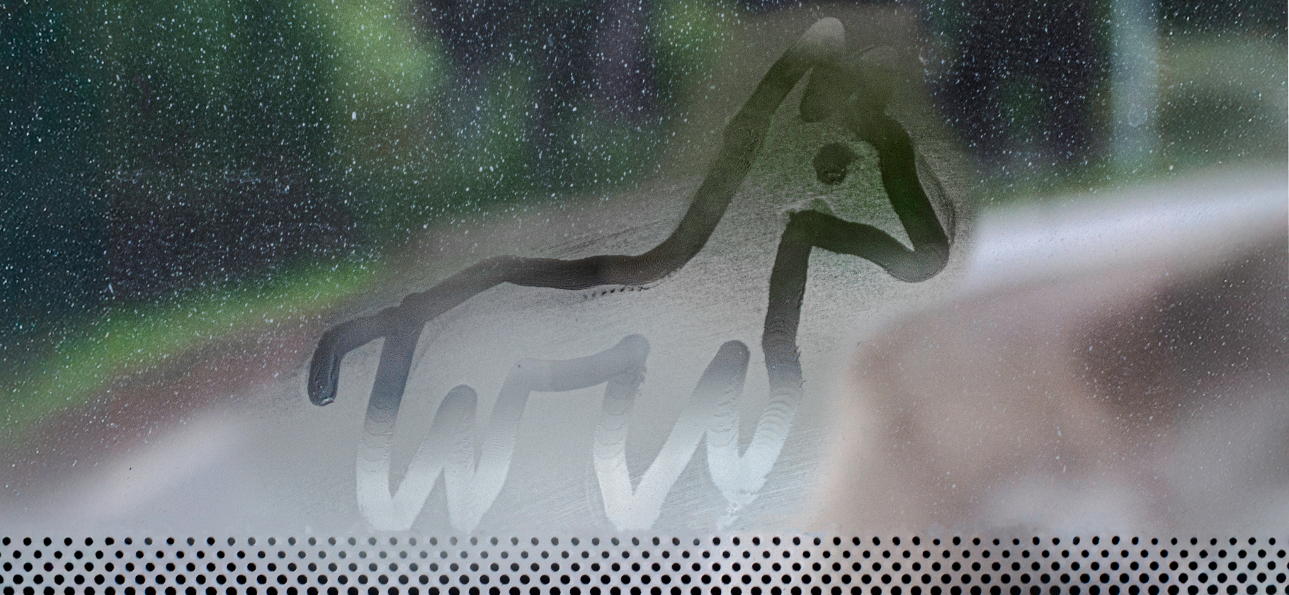 «Водитель гнал по серпантину и объезжал коней»: 8 историй о путе­шествиях на авто­бусах