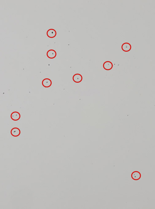 Красными кружками обведены пылинки, которые видны на грязной матрице