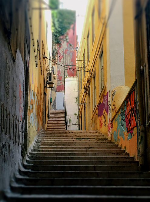 Дорога к дому, который я снимала в Лиссабоне у непризнанного гениального художника. На самом верху лестницы — еще лестница, а потом еще одна