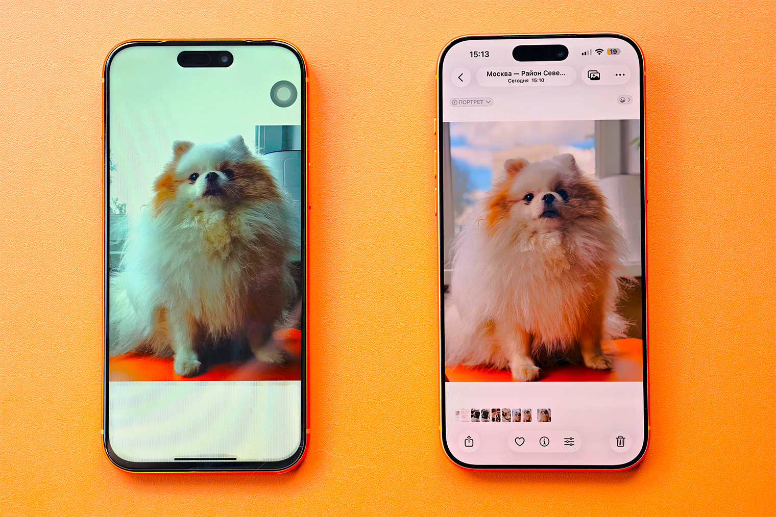 Поддельный iPhone даже фотографирует. Правда, результат так себе