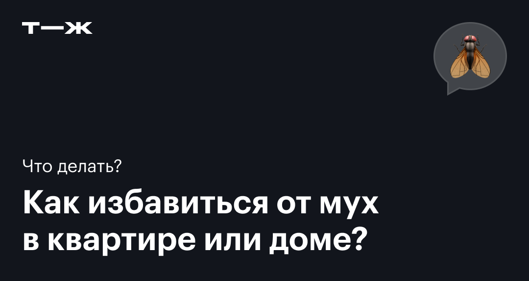 Как избавиться от мух: 9 средств и советы эксперта