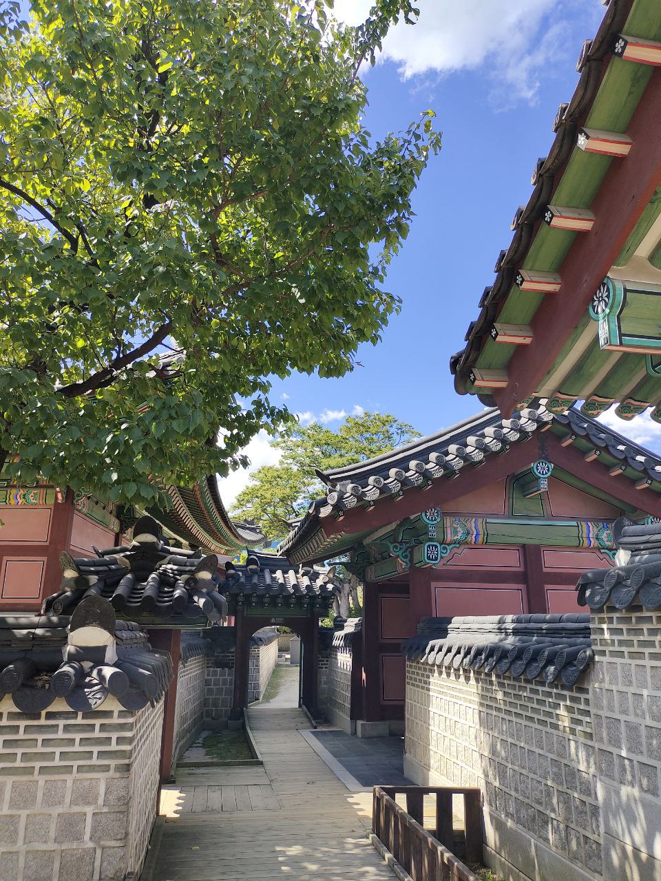 Фотографии года