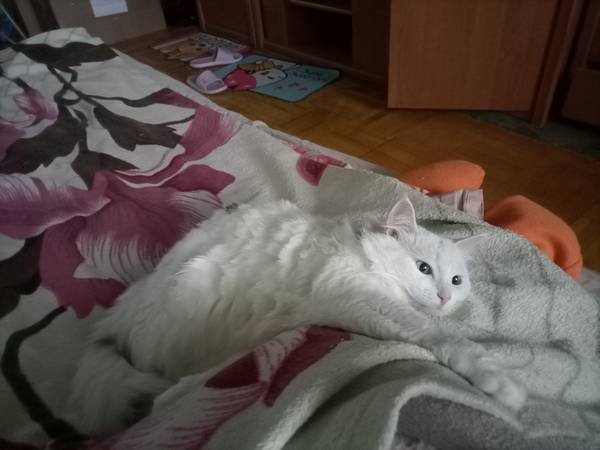 Мася&amp;Кася 