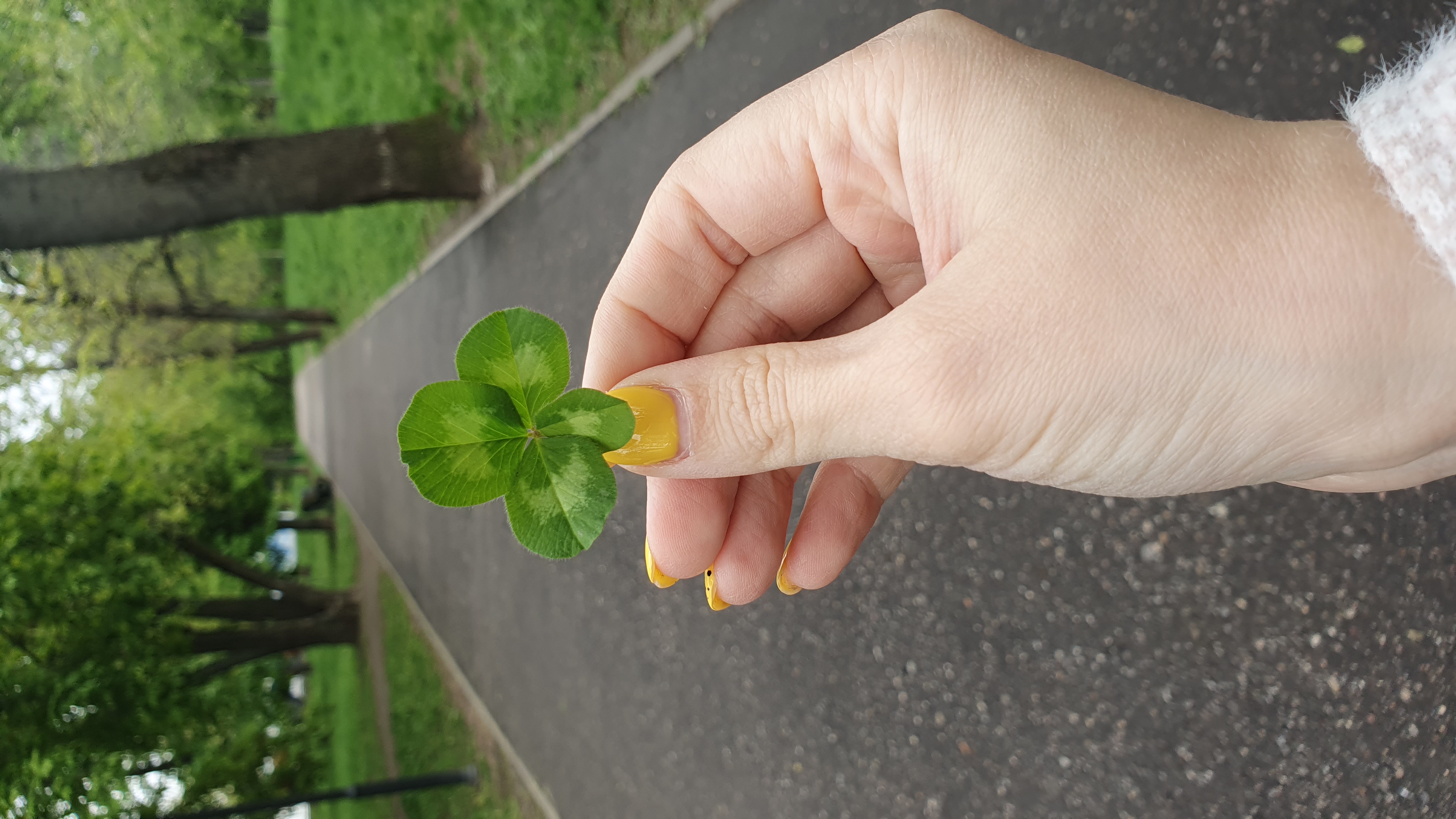 Фотографии года