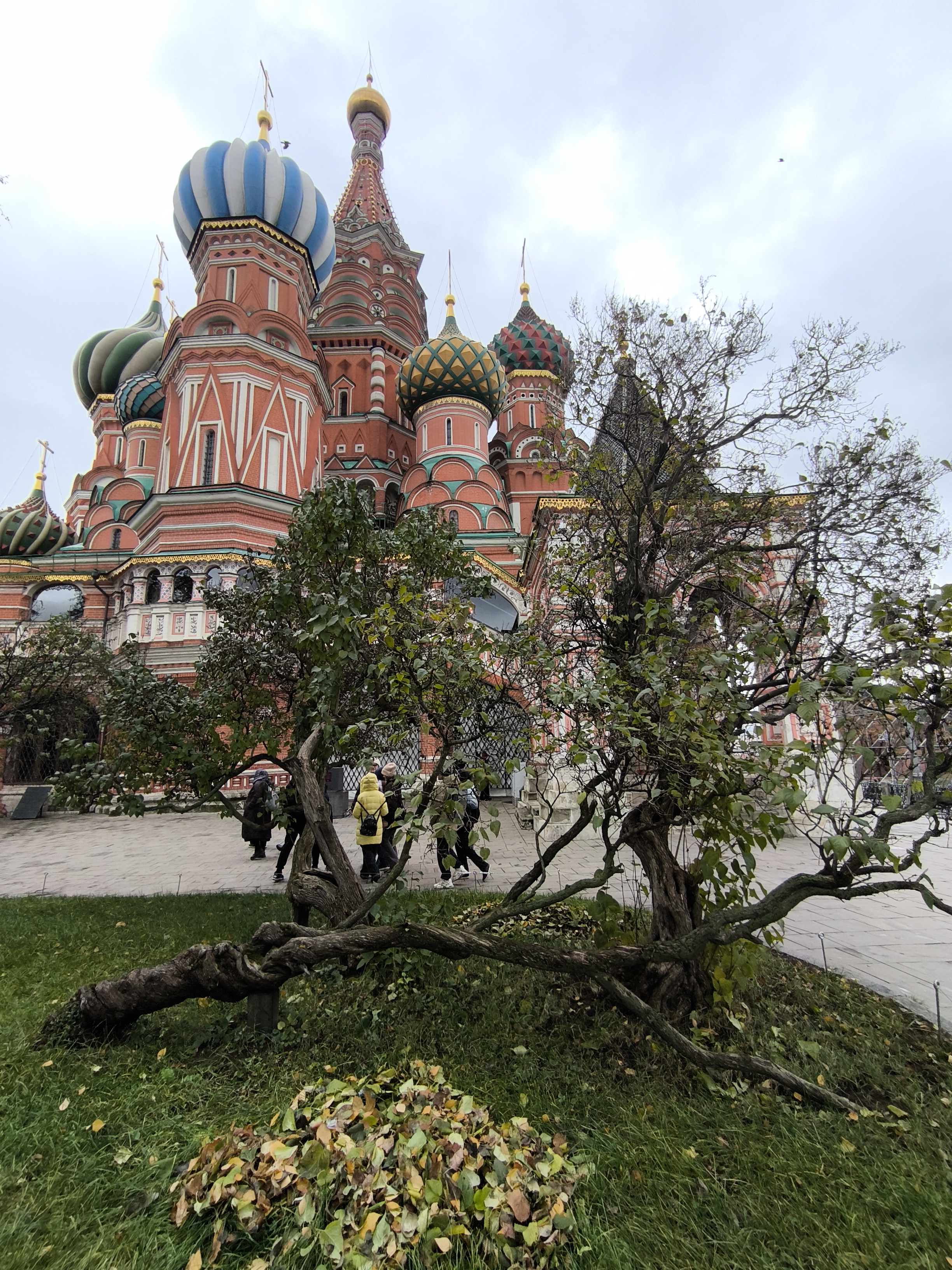 Фотографии года